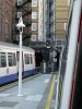 DSCN7037r.JPG