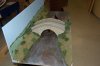 Bridge scenery forum2.jpg